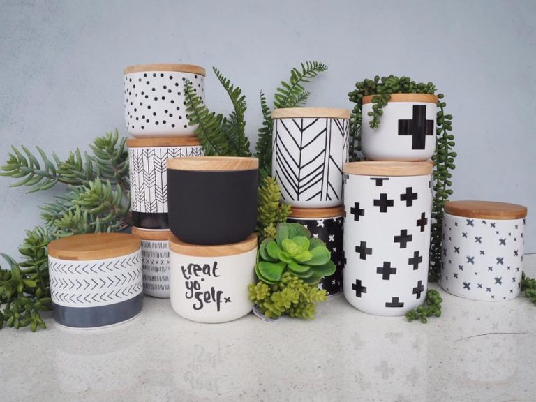 16508970 1198559620240615 3192729735581650187 n 768x576