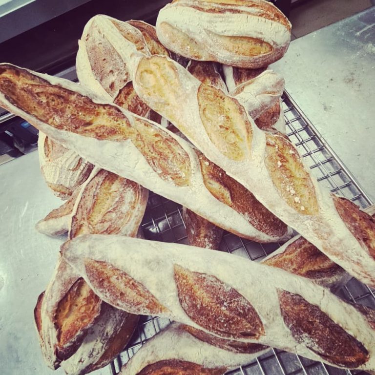 180668506 288589346079006 8312805365011579638 n 768x768