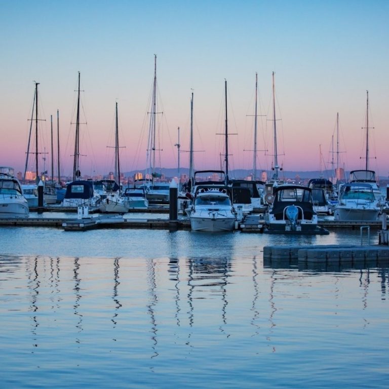 200698198 6065856183454565 2611971468522346156 n 768x768