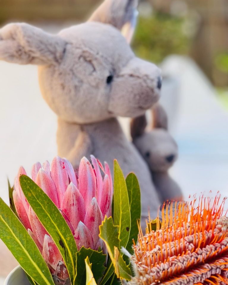 244640143 1610091575827805 9140773631326684417 n 768x960