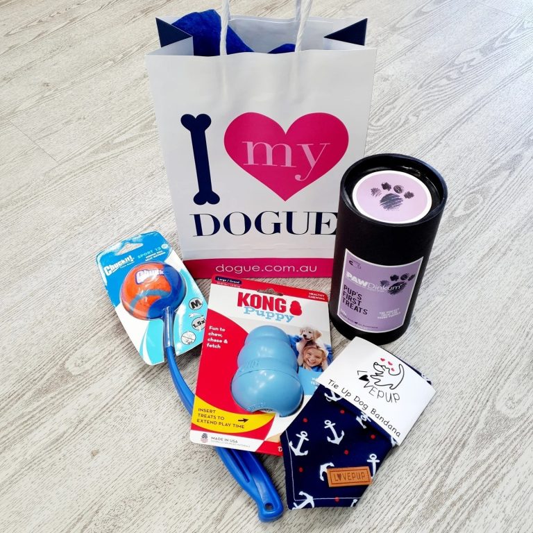 234303933 378793043651979 1907341204895631670 n 768x768