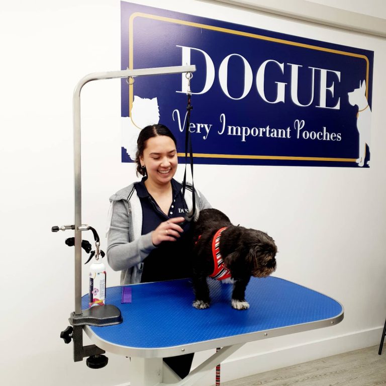 241808367 399714284893188 5628926784061054223 n 768x768